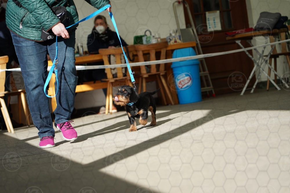s_A9_09107.jpg
